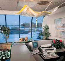 Ceiling drain tarp in office